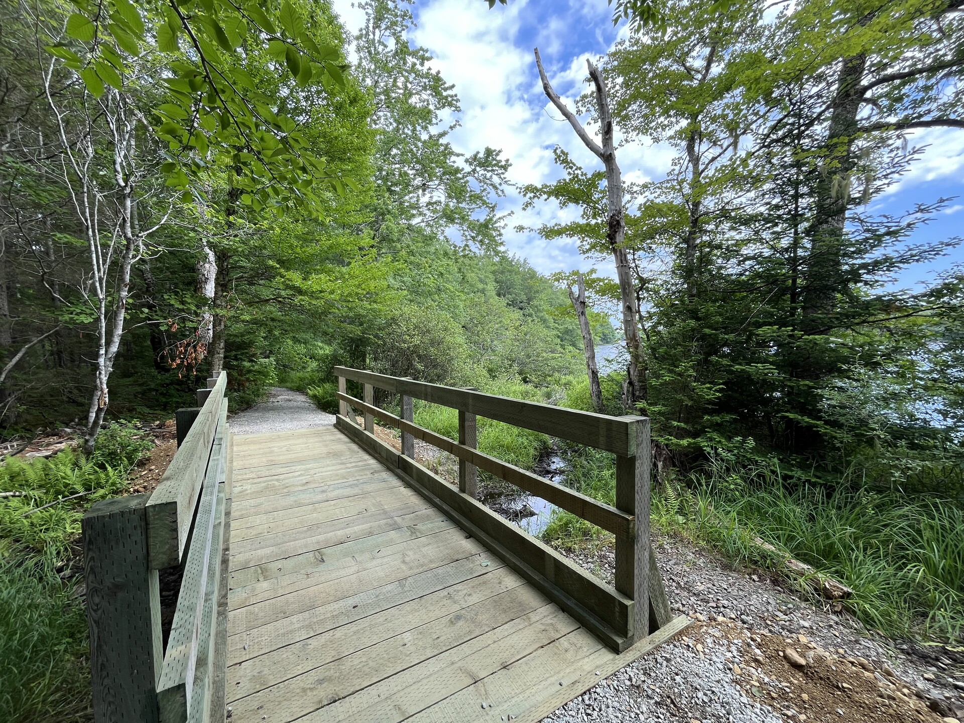 WP Bridge