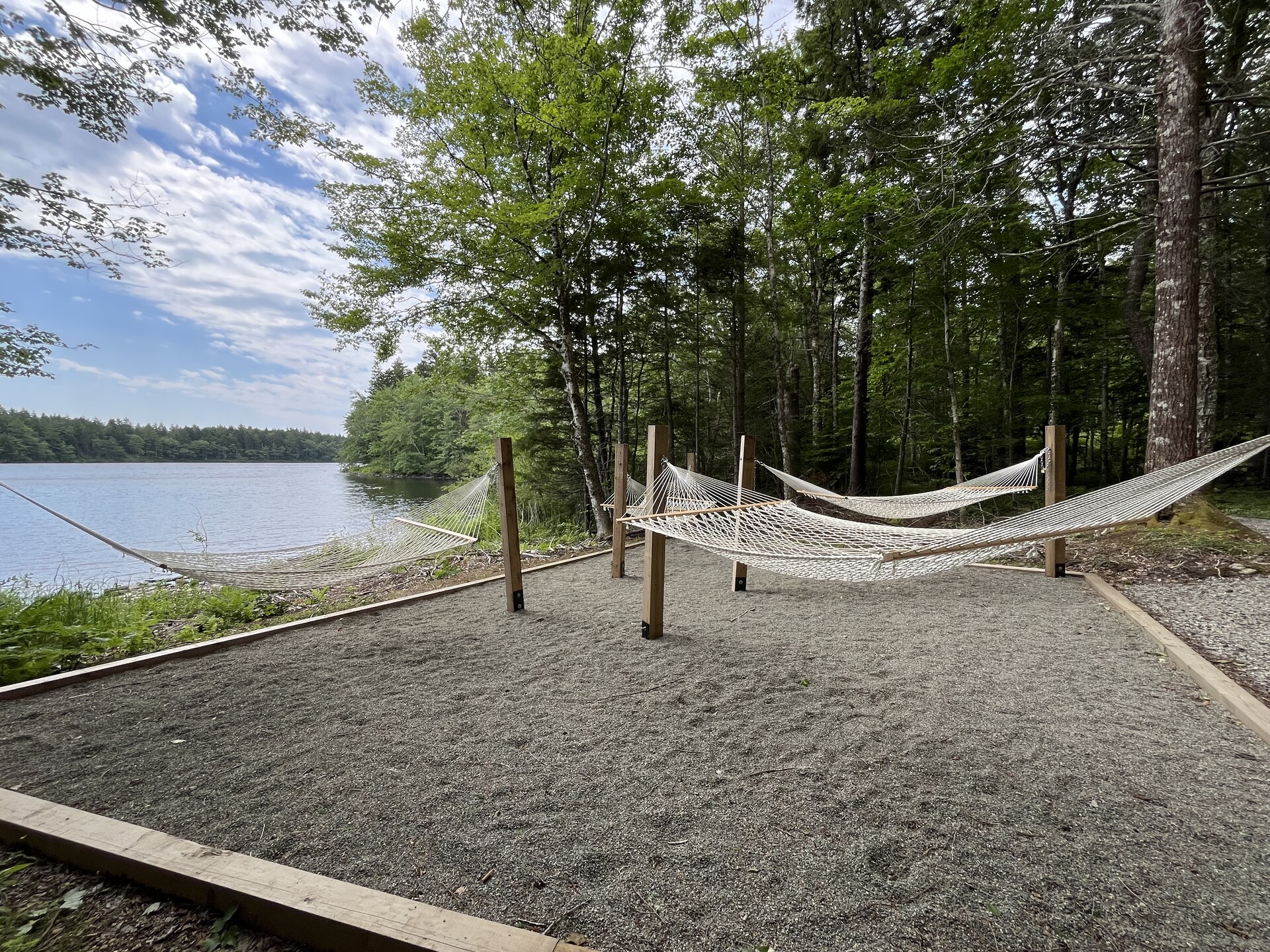 WP Hammock Grove