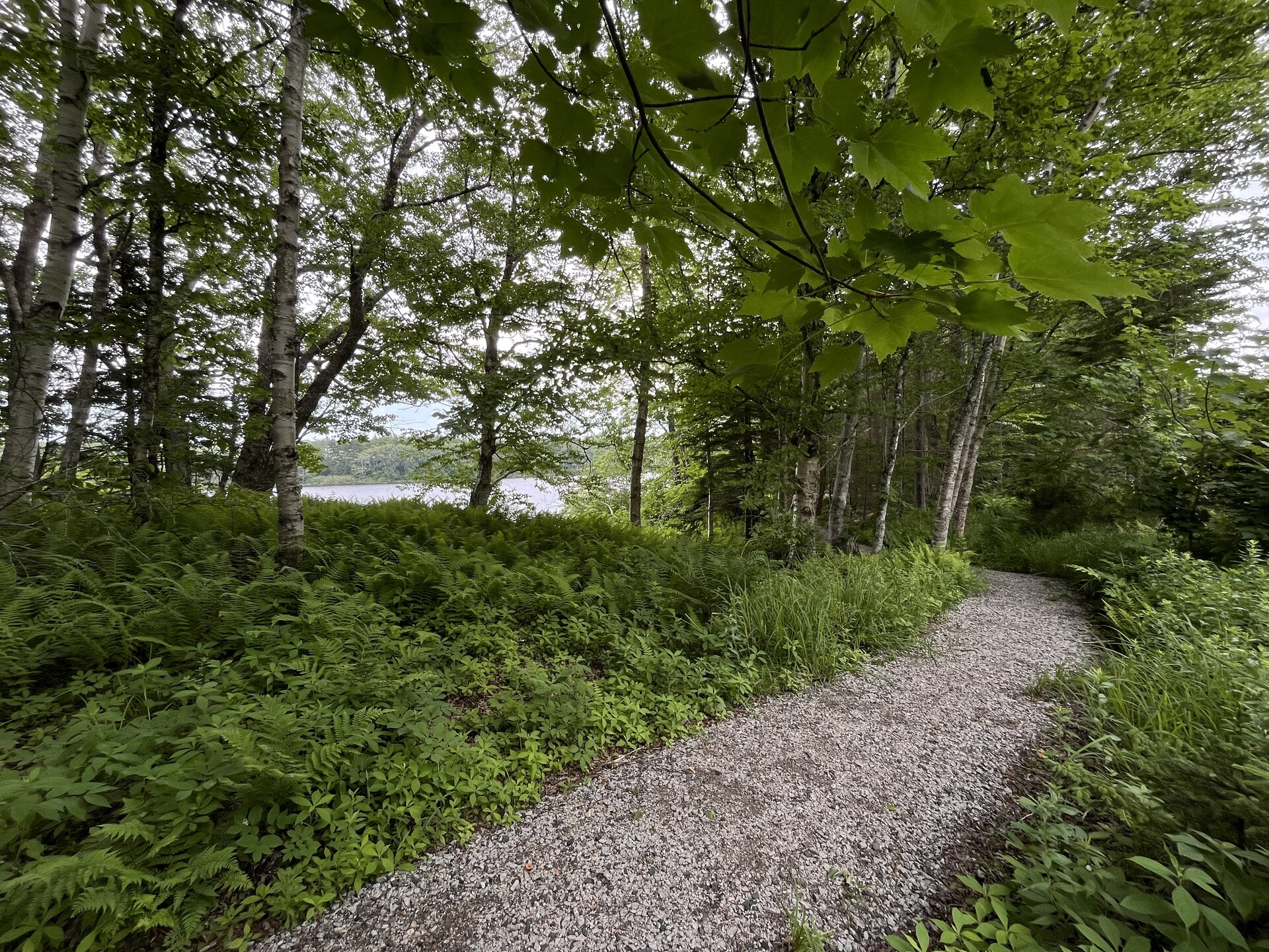 WP Trail 2