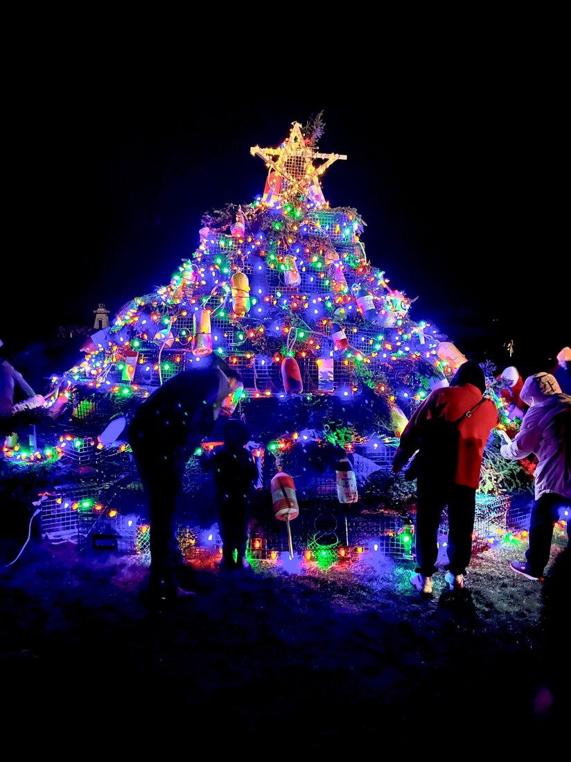 The lighting of Clare's first lobster trap tree